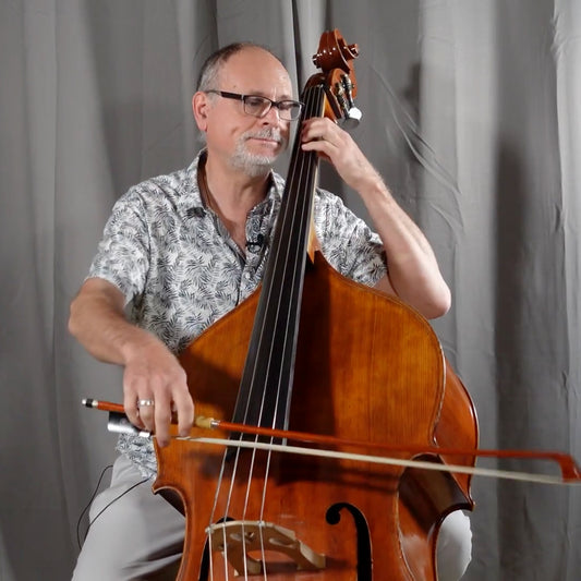 Thierry Barbe playing a double bass