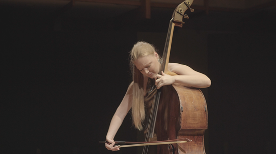 Haydn - Divertimento: Played by Phoebe Russell, Double Bass. (Mov. 1)